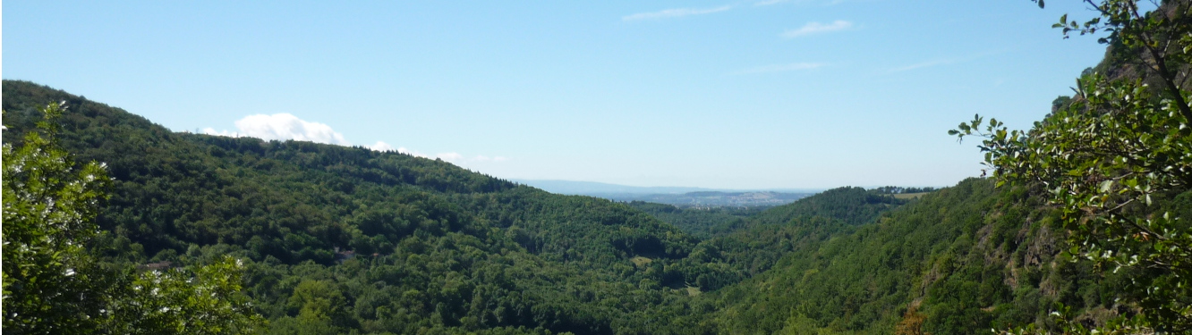 La nature verte du Parc Naturel du Haut Languedoc